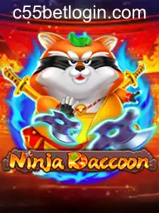 NinjaRaccoon